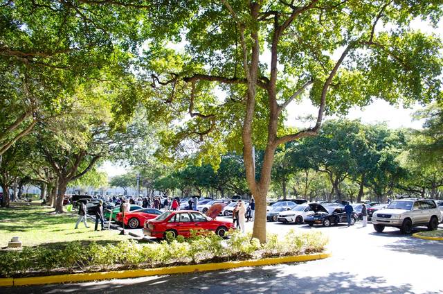Sunday meet, Fort Myers